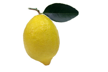 Lemon. One whole lemon isolated on white background