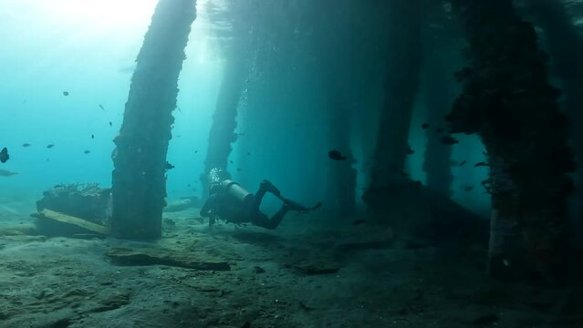 A scuba diver exploring an underside pier underwater full of corals and tropical fish.