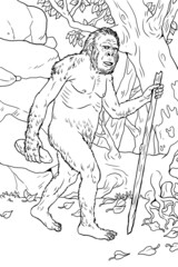 Prehistoric primates australopithecus. Ancestors of humans for coloring book.