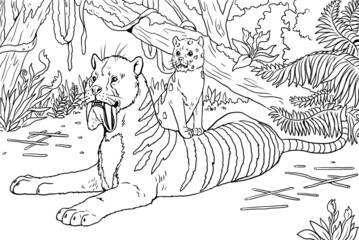 Prehistoric predators - thylacosmilus with cub. Drawing with extinct feline predator. Template for coloring book with saber-tooth.