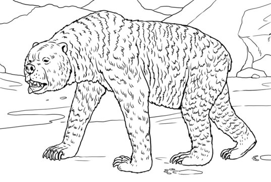 Prehistoric animals - short-faced bear. Drawing with extinct animals. Template for coloring book.