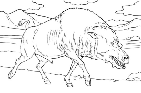 Prehistoric predator - daeodon. Coloring page with extinct animal.