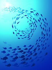 School of fish swimming under water of sea. School sea bream swims in underwater