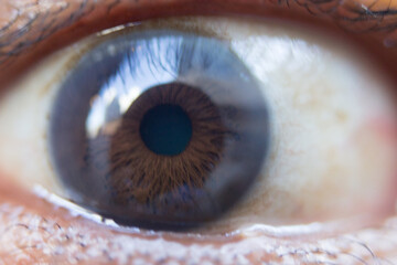 eyes, eye, iris, macro, pupil, eyeball, blue, closeup, vision, beauty, close-up, eyelash, look,...