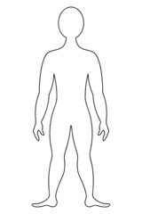 The human body. Sketch. Vector illustration. A muscular man in full height. Unknown person. Outline on an isolated background. Doodle style. Medical topics. An idea for web design.