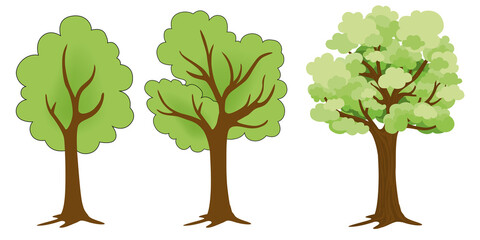 Dessins de trois arbres avec leurs feuilles pour symboliser l’environnement et l’écologie - obrazy, fototapety, plakaty