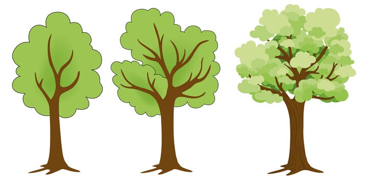 Dessins de trois arbres avec leurs feuilles pour symboliser l’environnement et l’écologie