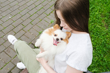 Young woman with long straight hair sits on a bench in park and holds a fluffy little dog in her arms. Pomeranian puppy with his owner for a walk. Satisfied dog smiles and sticks out his tongue