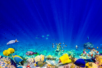 Naklejka na ściany i meble The magnificent underwater world of the Maldives.