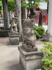 The guardian or messenger of god stone sculpture in front of the entry gate “Torii” to a sacred property, Japanese traditional art and architecture scene, location completed in the year 1603.  Ancient