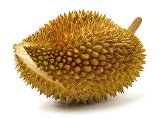 Durian fruit in south east asia, the king of fruits on white background 