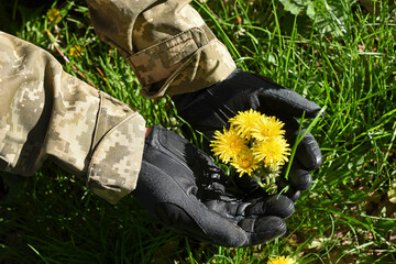 A military man's hands hold yellow dandelion flowers against a background of green grass. The concept of peace, no war.