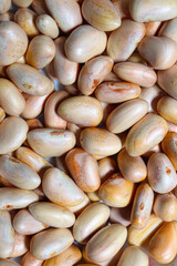 jackfruit seeds stock on shop for sell