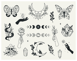 Set of mystical forest elements - moon phases, crystals, witchy hands, snake, mushrooms, floral moon, butterflies, twigs. Vector with a slotted pattern. This collection will be great for design of mys
