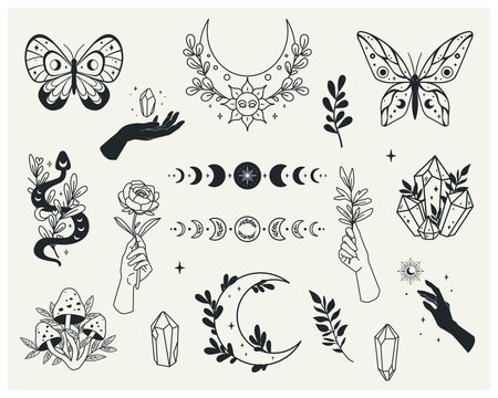 Set of mystical forest elements - moon phases, crystals, witchy hands, snake, mushrooms, floral moon, butterflies, twigs. Vector with a slotted pattern. This collection will be great for design of mys