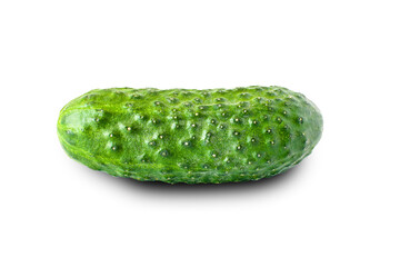 Fresh green cucumber on a white background. One cucumber closeup isolated on white background. High quality photo