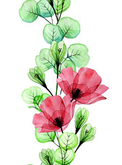 watercolor drawing, seamless border with transparent flowers. red poppy flowers and eucalyptus leaves. delicate drawing, x-ray