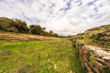The Stadium of Amrit. Amrit is one of the best preserved Phoenician settlements. It is located...