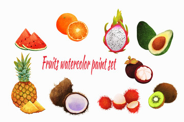 Set of fruits watercolor food. orange,dragon fruit,avocado,mangosteen,pineapple on white paper background