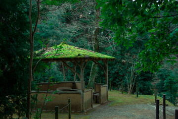 ジブリのような景色