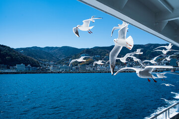 船に群がるカモメ
