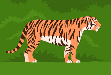 Bengal or Amur tiger. Big wild cat. Strong animal predator. Striped orange skin. Fauna and zoo. Flat vector illustration. Green wildlife background