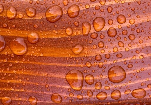 water drops on a brown wood surface