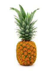 Pineapple fruit isolated on white background