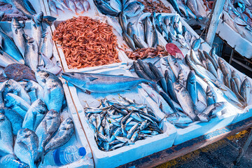 Various types and varieties of fish lie on the ice and are sold at the local market. Fishing and...