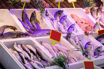 Various types and varieties of fish lie on the ice and are sold at the local market. Fishing and...