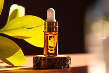 Cosmetic amber glass dropper bottle on wooden podium with oil, serum or fruit peeling in the sunlight. Green ruscus, soft focus. Beauty product presentation, natural background. Front. Mockup concept 