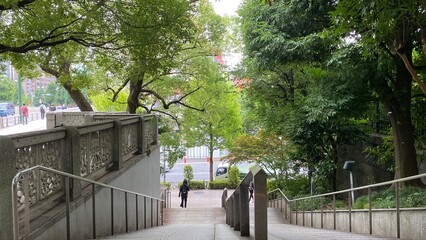 Beautiful trees and sense of nostalgia as I walk by the little street corner of “Yushima” Tokyo...