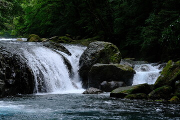 菊池川