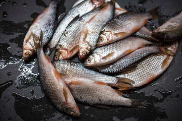 A bunch of fresh fish in the kitchen sink with a blur of focus. The concept of cooking, marinating fish. Close-up