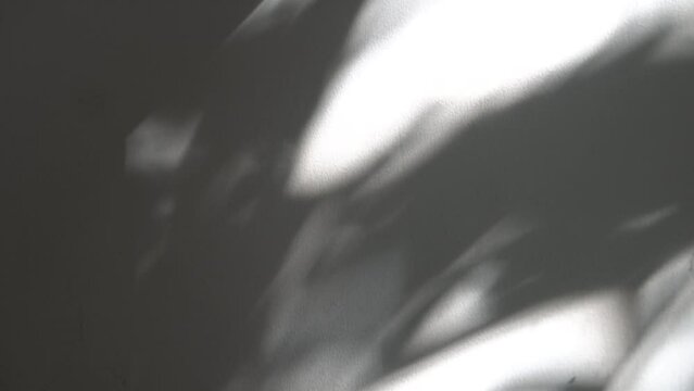 Animated Shadow Overlay Looping High Resolution 9