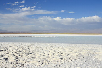 Salt flat at Salar de Atacama in Chile with Licancabur volcano background