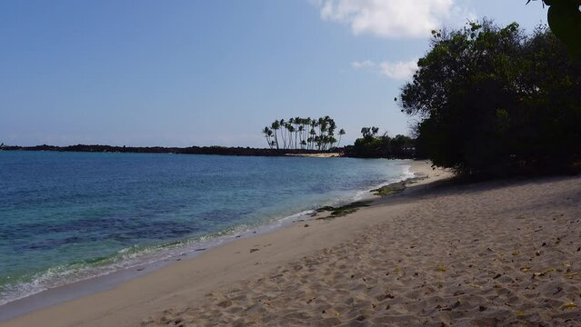 Empty Mahai'ula beach on the big island of hawaii with lava flows, palm trees and white sand