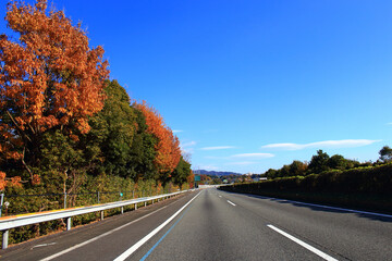 秋の東名高速道路