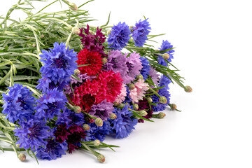 Сornflowers in blue, purple, pink, burgundy, and white blooms. Summer  flower background.