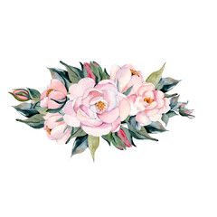 Watercolor bouquet spring pink flower vector