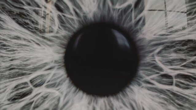 Grey human eye, detailed iris and pupil dilation. Extreme macro animation.
