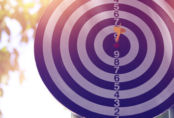Dart board, conceptualization to lead to the right goal. to contain the purpose of doing business...