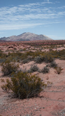 Desierto y monta&ntilde;as