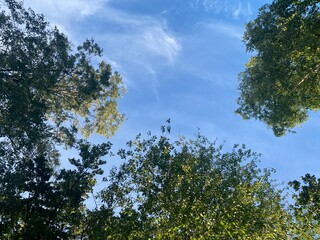 Nature, Buuilding, camping and other everyday Things and Moments