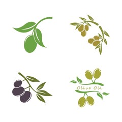 Obraz premium olive icon vector illustration