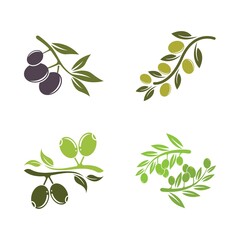 olive icon vector illustration