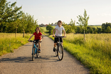 Obraz premium Cute happy children, brothers, riding bikes in the park on a sunny summer day