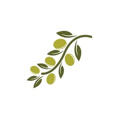 olive icon vector illustration