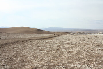 Moon valley of Atacama desert	