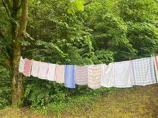 wäsche, wäscheleine, handtücher, annodazumal, damals, wald, leine, wäsche trocknen, natur,...
